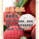 商家互砸西瓜丢荔枝,送一个荔枝和一个西瓜是什么意思