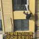 男孩从22楼窗台坠落,22楼窗户在北面屋里有阳光吗？