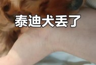 妈妈被娃抱摔倒,刚刚抱着小狗（两个月的小泰迪）不小心摔到地？