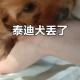 妈妈被娃抱摔倒,刚刚抱着小狗（两个月的小泰迪）不小心摔到地？