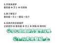 可口的披萨游戏攻略,可口披萨游戏攻略介绍
