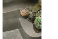 一地下室惊现大鱼池,地下室 鱼池