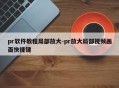 pr软件教程局部放大-pr放大局部视频画面快捷键