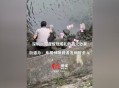 河道现大量成扎钞票,竞标河道采砂权大概要多少钱？年采1-3万方左右的？