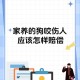 儿子被家中狗咬身亡,儿子被家中狗咬身亡怎么赔偿