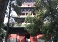 少林寺不推荐高价香,少林寺不推荐高价香烟吗