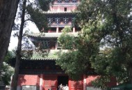少林寺不推荐高价香,少林寺不推荐高价香烟吗