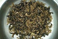 湖南湘西现金色虫子,湘西虫子多吗