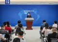 20名台湾要犯曝光 ,20名台湾要犯曝光事件