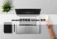 sesam软件教程-sesam 软件