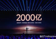 小米未来将投2000亿,小米未来将投2000亿是真的吗