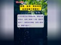 北京积水内涝预警,北京为什么会内涝？