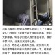 火车脱轨致3人死亡,在部队已经我三年了，和社会一有点脱轨！我当完五年兵后，回家能干什么？