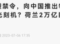 日考虑进口外国大米,荷兰为什么大量进口大米？