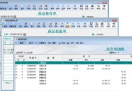 a9财务管理软件教程,a9财务软件的使用方法
