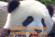 造谣熊猫受虐圈20万,旅美熊猫受虐事件，是否会像当年野培一样，以一封律师函告终？