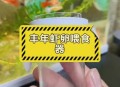 新疆沙漠盐水丰年虾,在家里怎么养丰年虾？