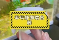 新疆沙漠盐水丰年虾,在家里怎么养丰年虾？
