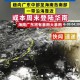 台风蝴蝶在海南登陆,2019台风蝴蝶