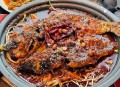 烤鱼盘下蛆虫乱爬,烤鱼盘下蛆虫乱爬怎么办