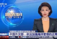 中国:不接受 不承认,中国不接受不承认所谓裁决