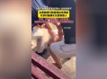 跳河救人哭着说好怕,跳河救人哭着说好怕死