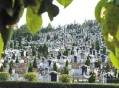 男童坟前喊妈收钱,在美国和西方人死了埋墓地要钱吗？也很贵吗？