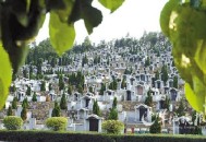 男童坟前喊妈收钱,在美国和西方人死了埋墓地要钱吗？也很贵吗？