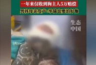 7岁男孩遭3只犬撕咬,7岁小孩特别皮不听管教怎么办？