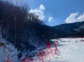 勇敢者的游戏攻略,勇敢者的游戏专属攻略