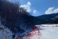 勇敢者的游戏攻略,勇敢者的游戏专属攻略