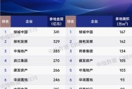 民营房企现土拍市场,房企可以上市吗？