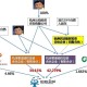 阿里最新合伙人名单,阿里巴巴永久合伙人什么级别？