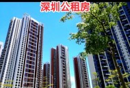 租房新规今起实施,2023深圳公租房新政？