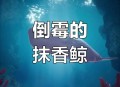 日本多条抹香鲸搁浅,搁浅抹香鲸能否活下来？