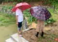 女保安因暴雨遇难,女保安因暴雨遇难视频