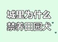 解除禁养中华田园犬,中华田园犬禁养怎么办？