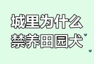 解除禁养中华田园犬,中华田园犬禁养怎么办？