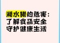 当学生面吃泔水剩饭,发酵泔水养猪，利润有多大？