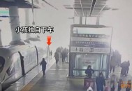 幼童掉高铁站台股道,高铁小孩掉下站台