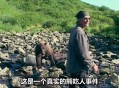 熊闯入家中上桌偷吃,有没有什么动物是吃蜜蜂的？