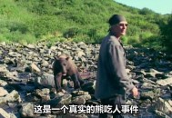 熊闯入家中上桌偷吃,有没有什么动物是吃蜜蜂的？