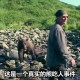 熊闯入家中上桌偷吃,有没有什么动物是吃蜜蜂的？