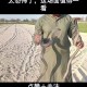 因好奇徒手抓蛇被咬,用什么方法抓蛇？