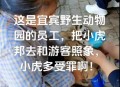 动物园幼虎被打头,动物园老虎互殴