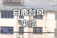 台风白鹿已生成,第11号台风“白鹿”生成，或登录广东，佛山会凉爽吗？