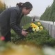 霸占侄女房子近10年,侄子霸占房子