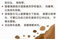 山体滑坡避险指南,洪水避险安全指南？