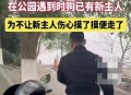 男子街头遛猪引围观,男子被当街遛狗
