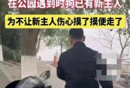 男子街头遛猪引围观,男子被当街遛狗